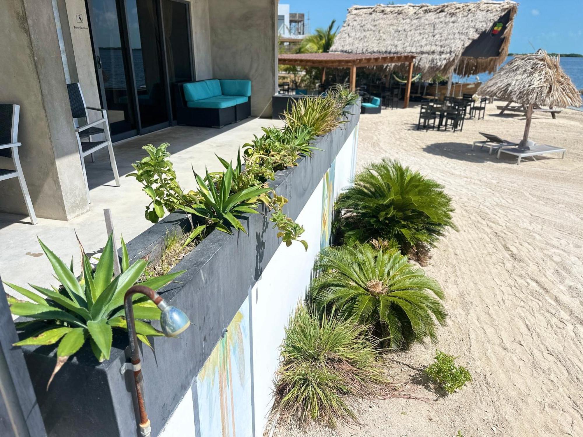 Playa De Sala Boutique Hotel (Adults Only) 산페드로 외부 사진
