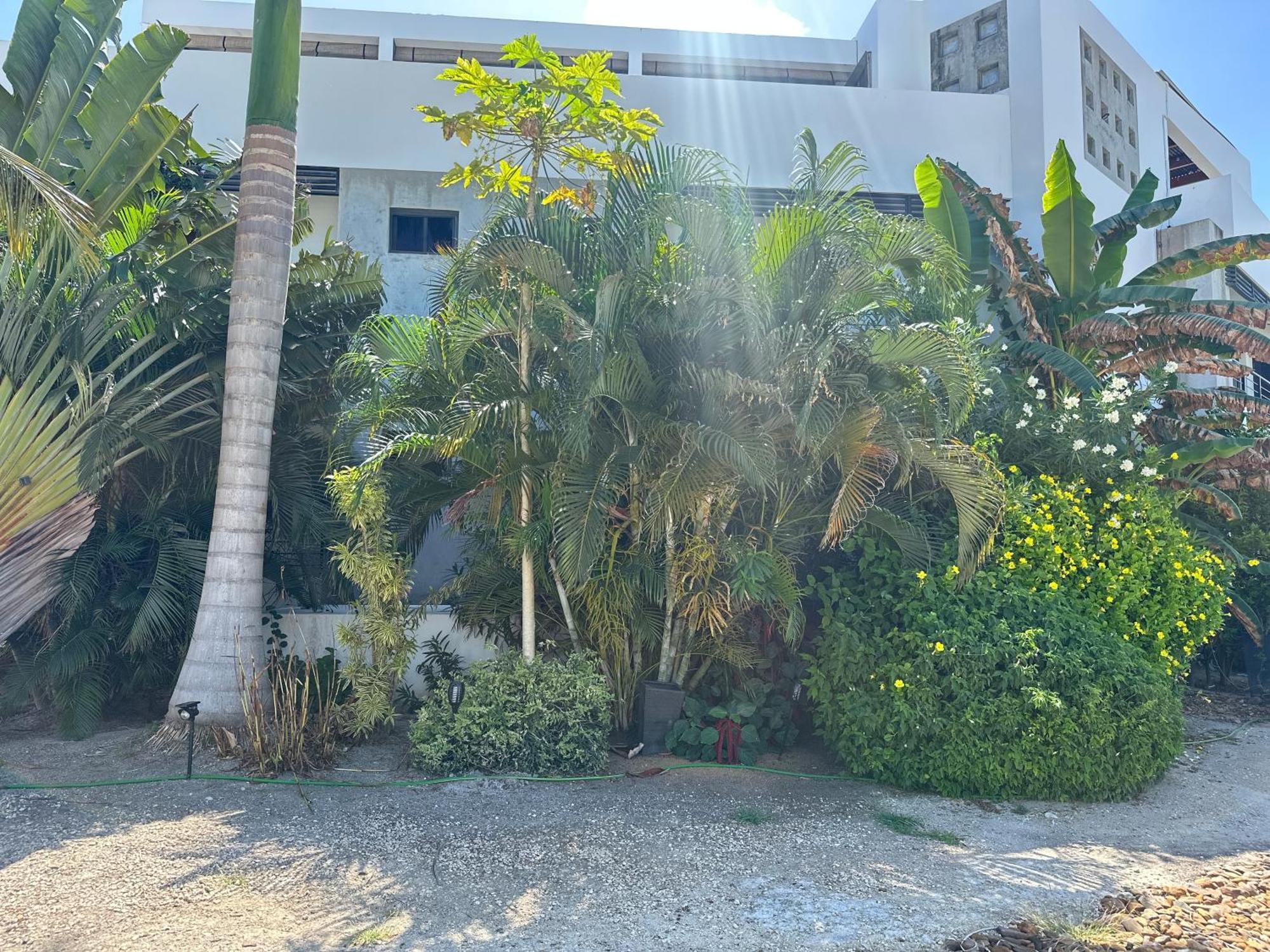 Playa De Sala Boutique Hotel (Adults Only) 산페드로 외부 사진